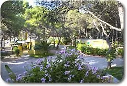 Kompleks wypoczynkowy Camping La Vecchia Torre 3*