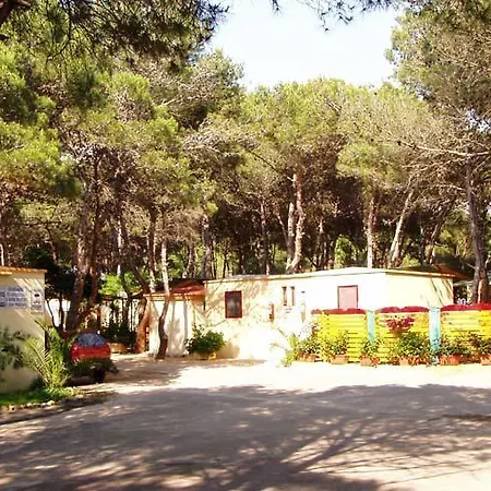 ホリデーパーク Camping La Vecchia Torre 3*